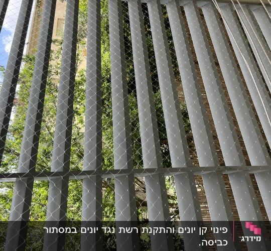 רשת מתכת על תריסים למניעת כניסת יונים